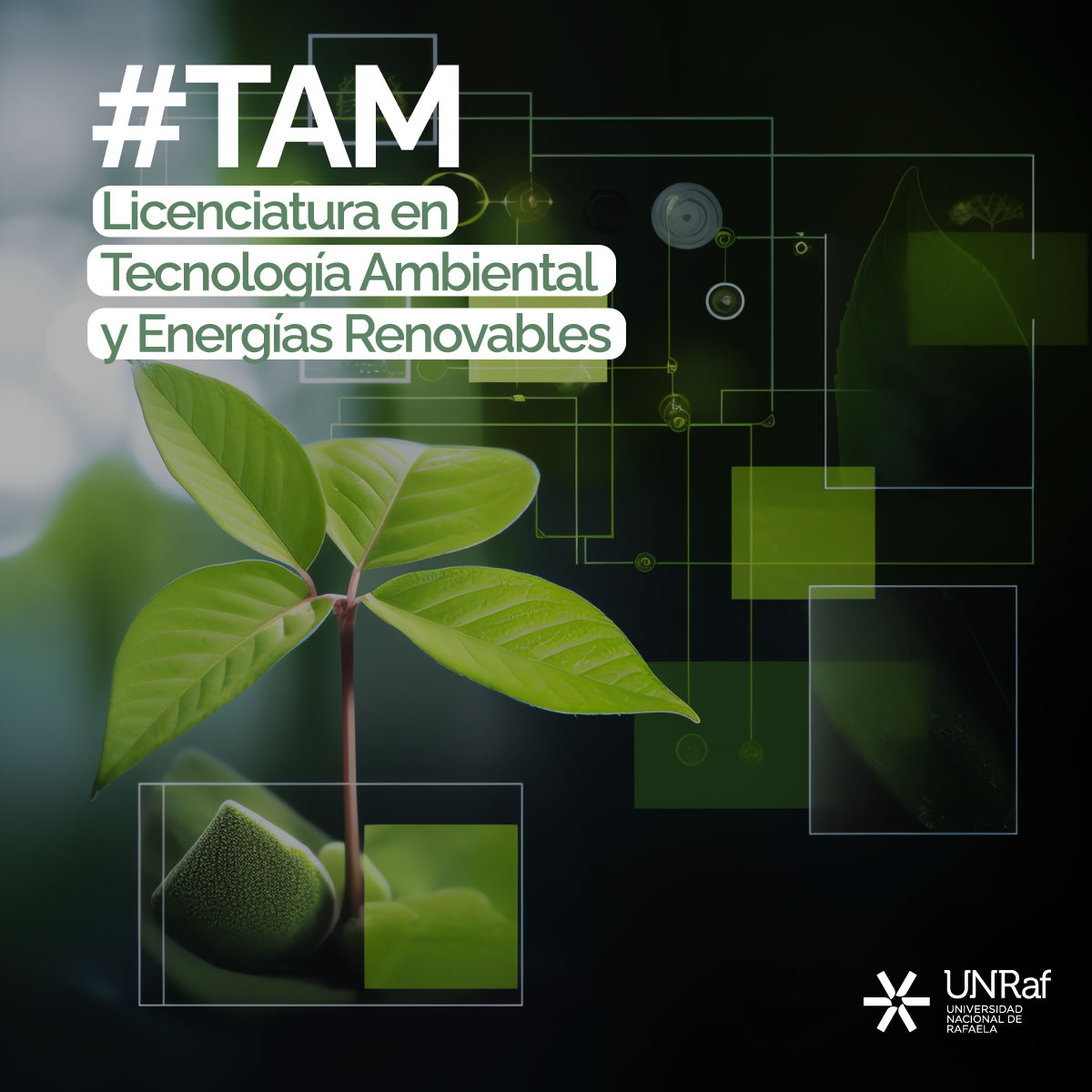 Tecnología Ambiental y Energías Renovables