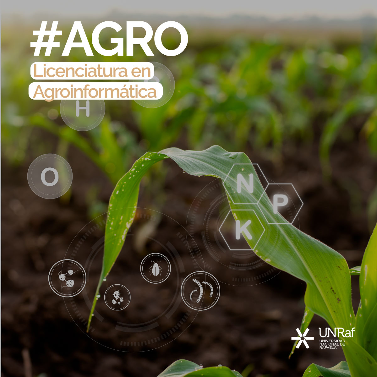 Agroinformática