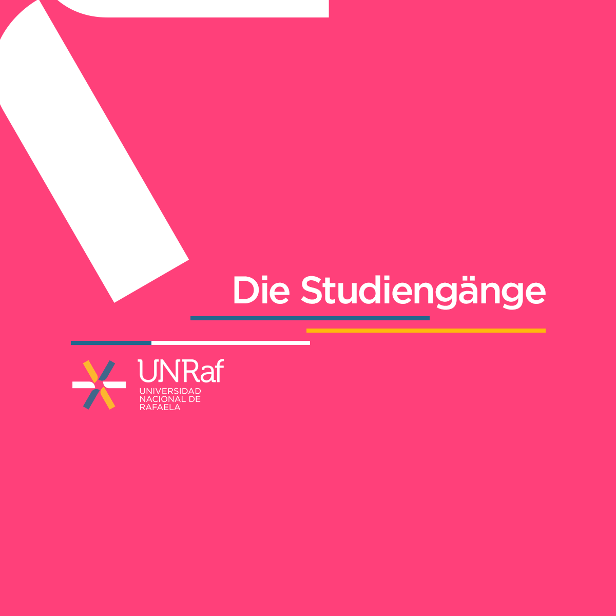 Die Studiengänge