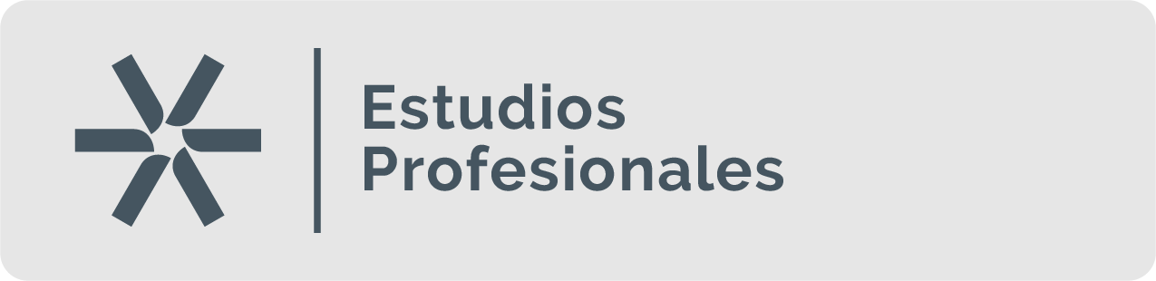 Estudios Profesionales