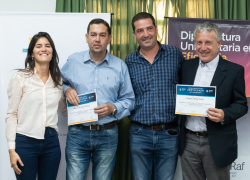 certificados17