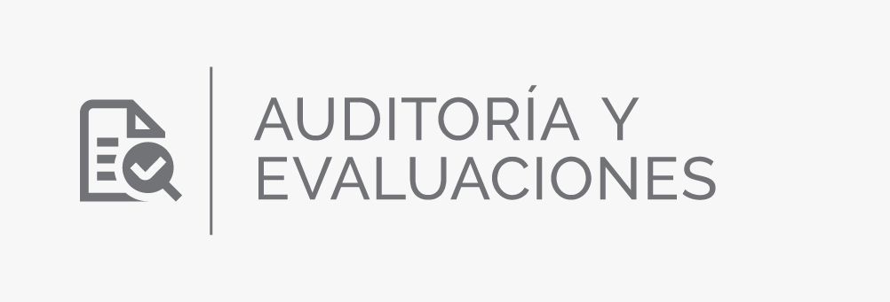 Auditoría y Evaluaciones