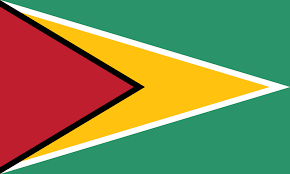 bandera guyana