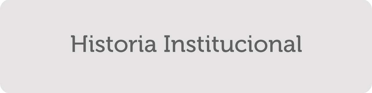 Historia Institucional