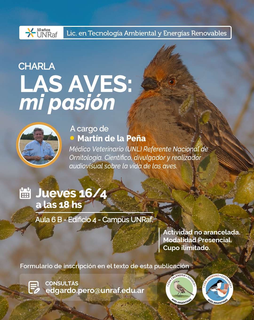 aves_feed.jpeg